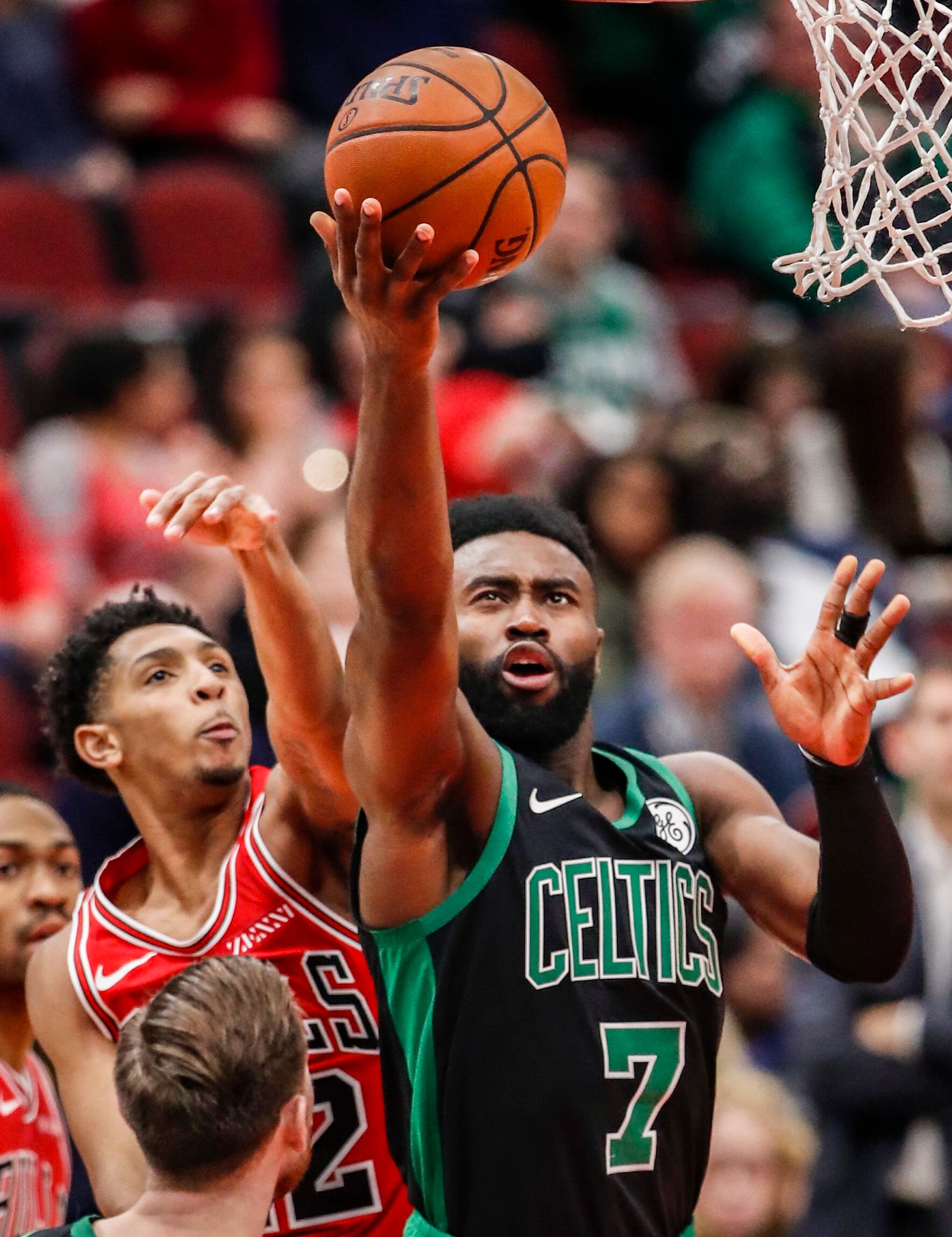 在亚冬会的 在亚冬会的